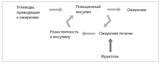 Код диабета Научные данные о том как диабет 2го типа стал самой внезапной болезнью столетия и простая программа восстановления без инъекций и лекарств - изображение 73