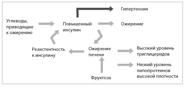 Код диабета Научные данные о том как диабет 2го типа стал самой внезапной болезнью столетия и простая программа восстановления без инъекций и лекарств - изображение 84