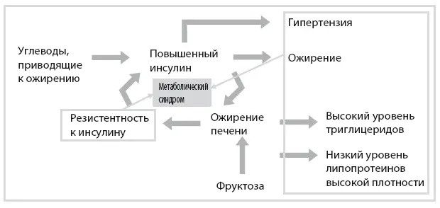 Рисунок 94 Гормональное ожирение 9 метаболический синдром Резистентность к - фото 86