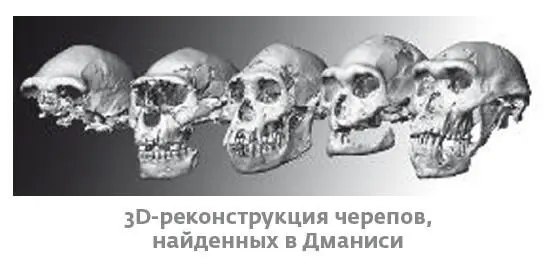 Давид Лордкипанидзе и его коллеги проводившие раскопки в Дманиси и - фото 21