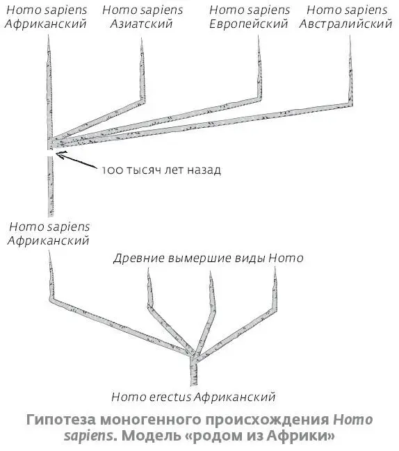 Модель канделябр время от времени продолжает всплывать в научных дискуссиях - фото 30