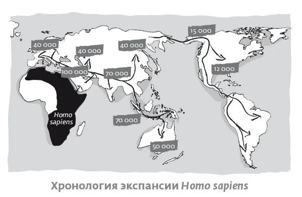 В 2015 году на раскопках местонахождения Даоцзян были найдены зубы Homo - фото 31