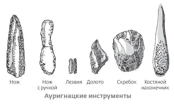 Новые европейцы попрежнему занимались охотой и собирательством Опираясь на - фото 34