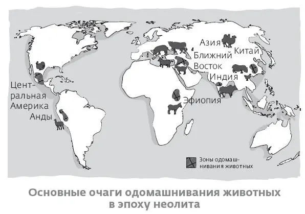 Археологи обнаружили бесчисленные следы этой деятельности в Средиземноморье - фото 41