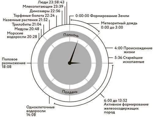 История планеты в 24 часах Что бы вам ни говорили мы не можем навредить - фото 13