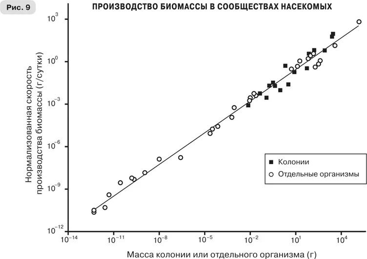 Когда я понял что мои попытки узнать о некоторых из тайн смерти не - фото 16