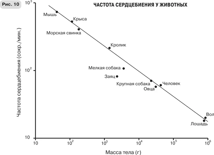Когда я понял что мои попытки узнать о некоторых из тайн смерти неожиданно - фото 17