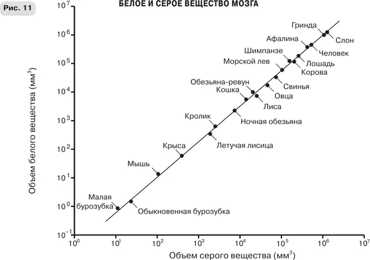 Когда я понял что мои попытки узнать о некоторых из тайн смерти неожиданно - фото 18