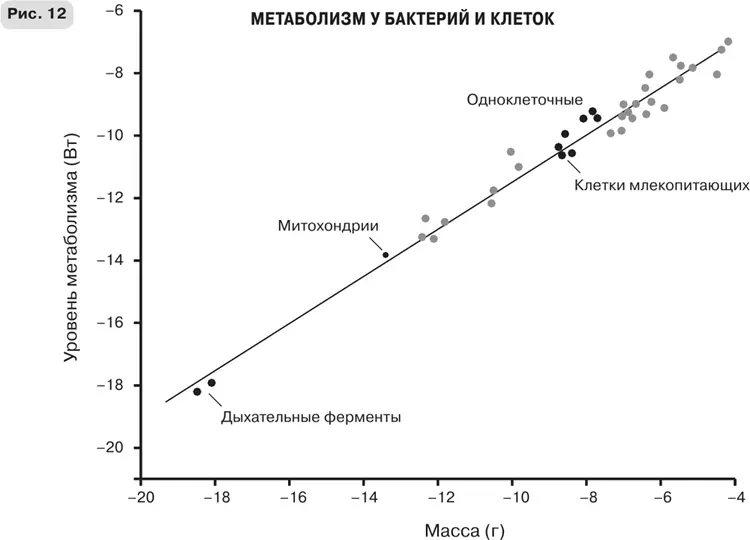 Когда я понял что мои попытки узнать о некоторых из тайн смерти неожиданно - фото 19