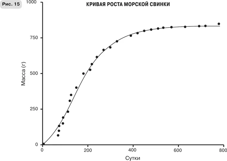 Масштаб Универсальные законы роста инноваций устойчивости и темпов жизни организмов городов экономических систем и компаний - фото 35