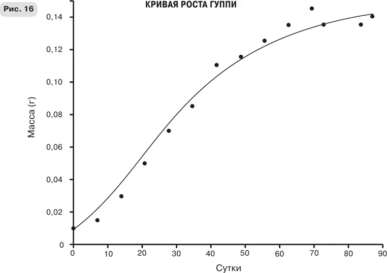 Кривые роста для некоторых животных показывающие как их масса увеличивается с - фото 36