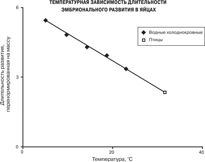 Рис 23 Экспоненциальное масштабирование длительности эмбрионального развития - фото 43