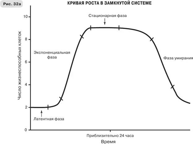 Хотя эта маленькая история не вполне точна в деталях время удвоения числа - фото 60