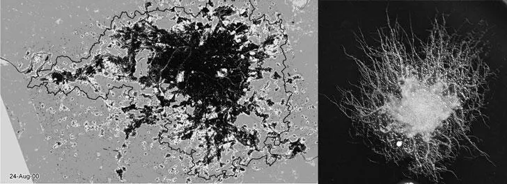 Слева органический рост Парижа демонстрирующий развитие фрактальной - фото 79