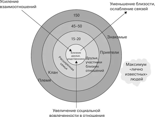 Схема последовательности чисел Данбара отражающая фракталоподобную иерархию - фото 82