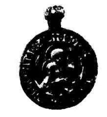 На рис медный змеевикоберег XIXII века Лицевая сторона Среди многих - фото 74