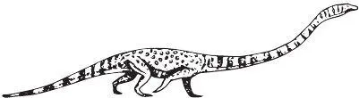 Tanystropheus Langobardisaurus pandolfii тоже имел удлинённые шейные - фото 20