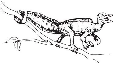 Drepanosaurus unguicaudatus Двенадцатисантиметровый Hypuronector limnaios из - фото 21