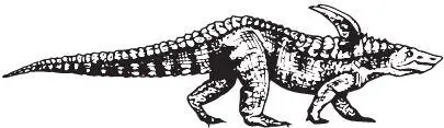 Desmatosuchus Более продвинутые орнитозухии Ornithosuchia уже приподнялись на - фото 26