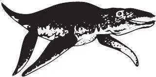 Liopleurodon ferox Ромалеозавры в значительной степени зависают между плезио - фото 49