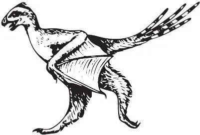 Yi qi В нижнеюрских отложениях Китая найдена челюсть Eshanosaurus deguchiianus - фото 57