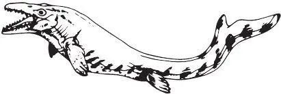 Mosasaurus beaugei Работа над ошибками Первый череп мозазавра нашли в - фото 80
