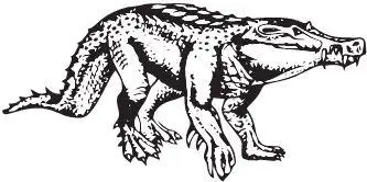 Kaprosuchus saharicus Иные наземные крокодилы нотозухи Notosuchia - фото 84