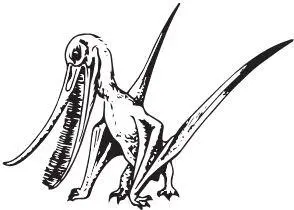Pterodaustro guinazui Маленькая тонкость Глаз многих рептилий и птиц - фото 87