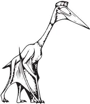 Quetzalcoatlus northropi Как часто бывало в истории развития разных групп - фото 89