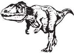 Carcharodontosaurus saharicus Маленькая тонкость Оценка размера ископаемых - фото 91