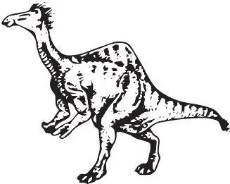 Deinocheirus mirificus Работа над ошибками Внешний вид и образ жизни - фото 94