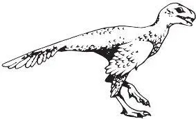 Incisivosaurus gauthieri Ещё одна группа странных теропод овирапторовые - фото 95