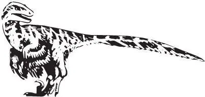 Deinonychus antirrhopus Учитывая число костей и предполагаемое родство с - фото 96