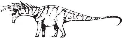 Bajadasaurus pronuspinax Часть титанозавровых старательно защищалась от злых - фото 98