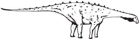 Magyarosaurus dacus Маленькая тонкость Европа во второй половине мела была - фото 99