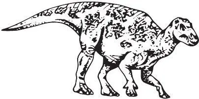 Iguanodon bernissartensis Работа над ошибками Игуанодон стал вторым - фото 101