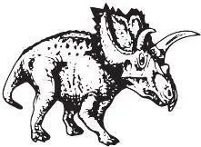 Rubeosaurus ovatus Хасмозаврины тоже превосходны Chasmosaurus russelli и Ch - фото 107