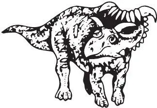 Kosmoceratops richardsoni Работа над ошибками Всего описано около двух - фото 108