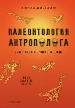 Станислав Дробышевский - Палеонтология антрополога. Книга 2. Мезозой