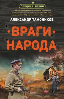 Александр Тамоников - Враги народа