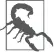 картинка 11