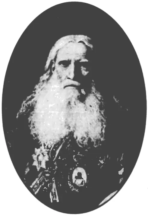 Епископ Порфирий Успенский Неизвестный художник Вторая половина XIX в - фото 31