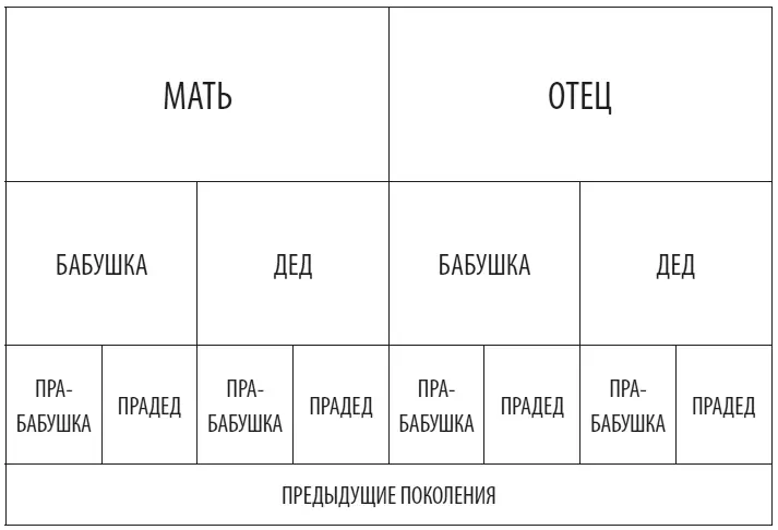 Схема наследования по Местону Гальтон сформулировал свою теорию в самых общих - фото 8