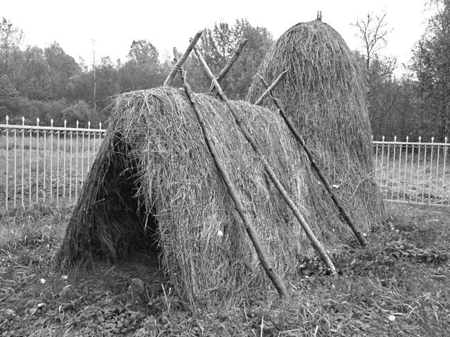Модель шалаша ВИ Ленина в Разливе Современное фото Ленин естественно - фото 14