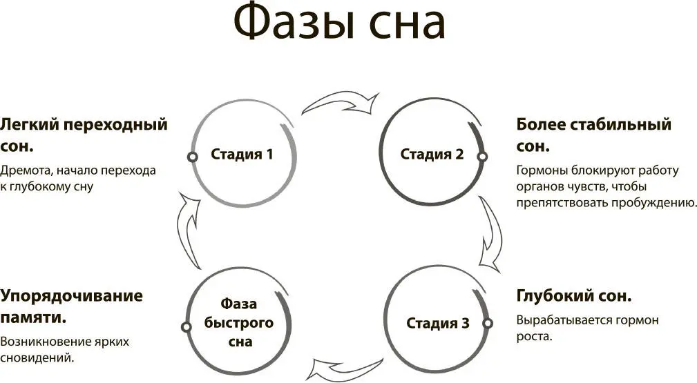 Все люди видят сны Не все их могут вспомнить после пробуждения Некоторым сны - фото 24