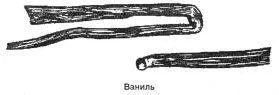 Ваниль плоды стручки вьющегося растения лианы семейства орхидейных - фото 73