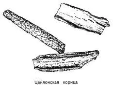 КорицаКора нескольких видов коричных деревьев семейства лавровых используемая - фото 76