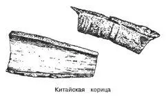 Китайская корица Cinnamomum Cassia Bl Синонимы ароматная корица - фото 77