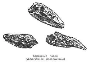 Кайенский перец Capsicum fastigiatum В1 и Capsicum frutescens Синонимы - фото 81