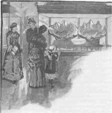 Изображение из Уимпера Большая устрица из Сингапура 1883 Гимнастикон Первые - фото 88